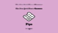 Pips NYT Domino Puzzle